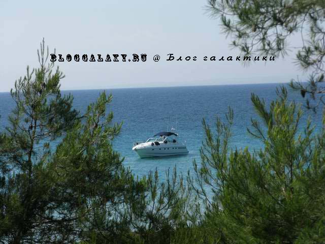 Sani Beach Hotel deluxe 5* Греция Халкидики